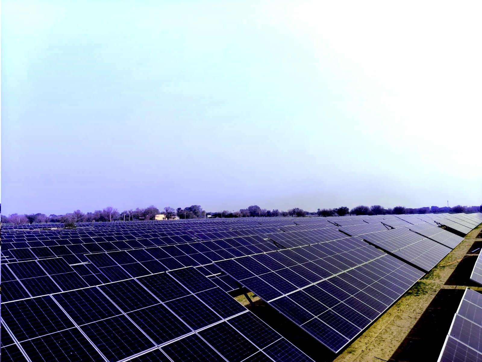 Solar News & Insights