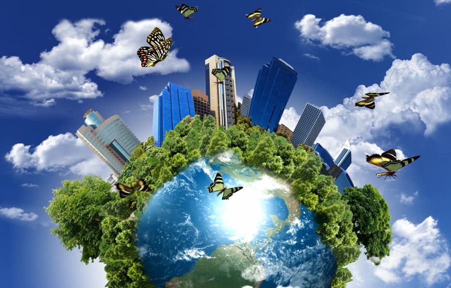 Sustainability Calculator
